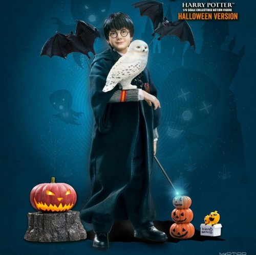 Harry Potter (Child) Halloween Limited Edition Harry Potter My Favourite Movie 1/6 Action Figure by Star Ace Toys